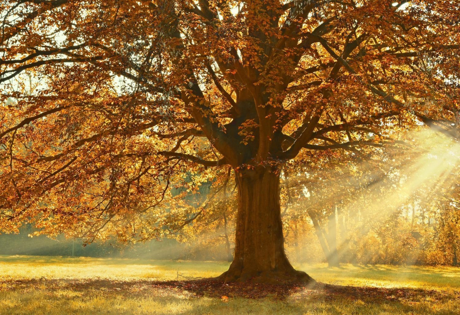 Retiro Egino 5 a 7 Noviembre 2027